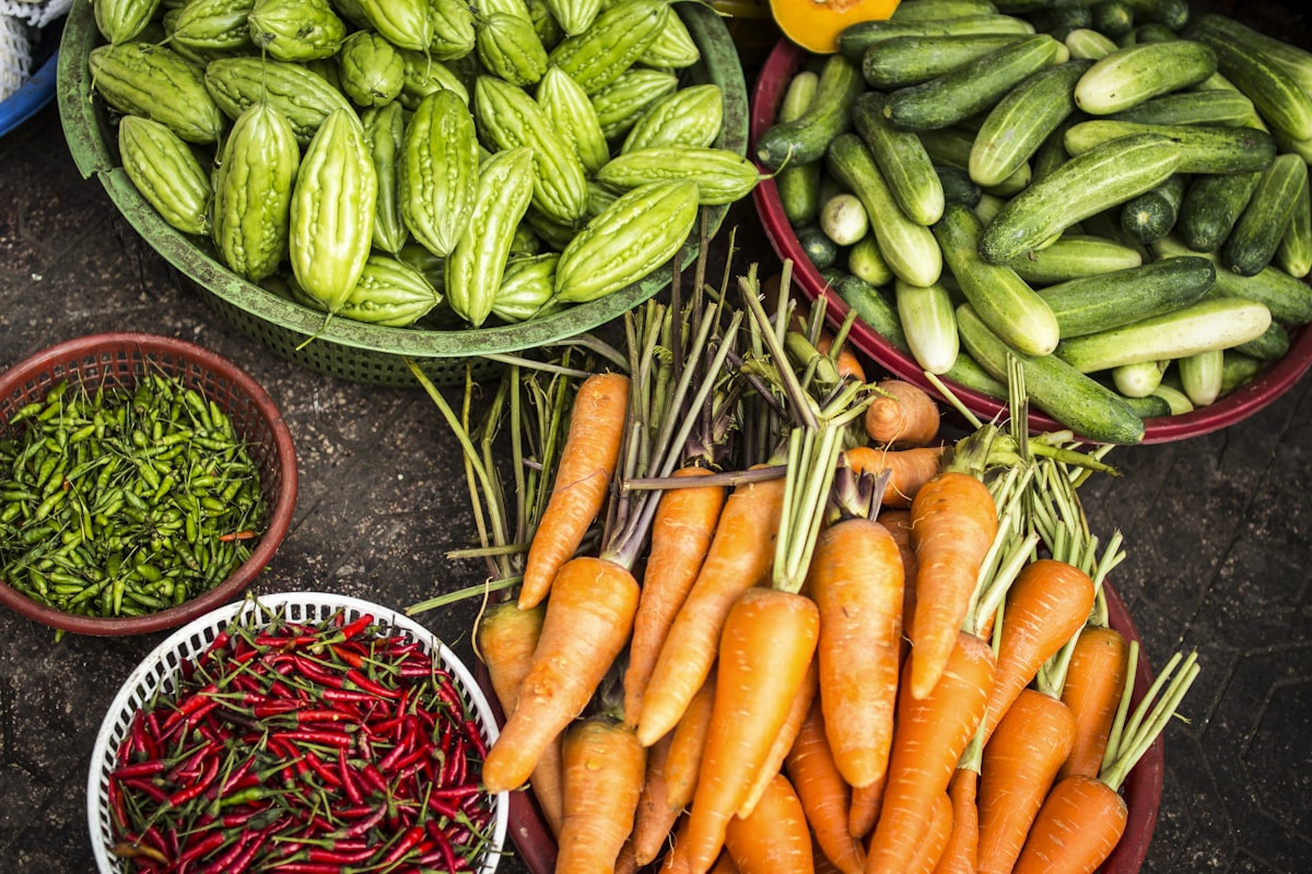 Fresh organic vegetables harvested at Prakruti Farms