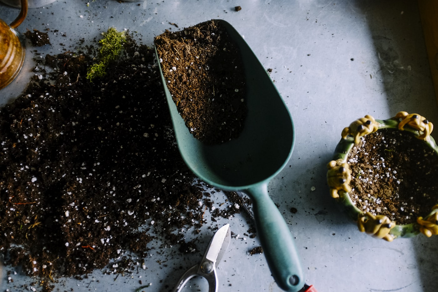 Hands planting a seedling in the soil